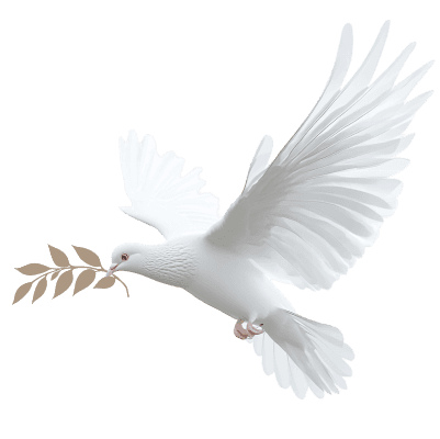 יונה עם ענף זית - סמל של שלום וזיכרון